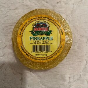 Hawaiian Loofah Soap